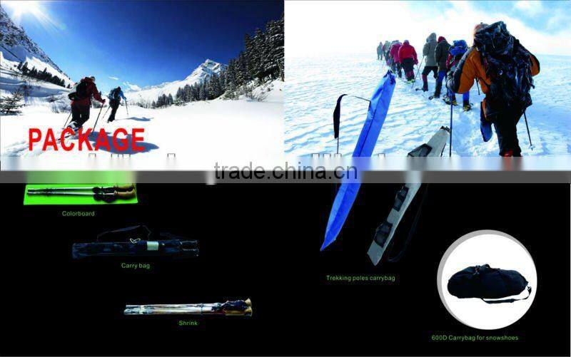 Telescopic pole