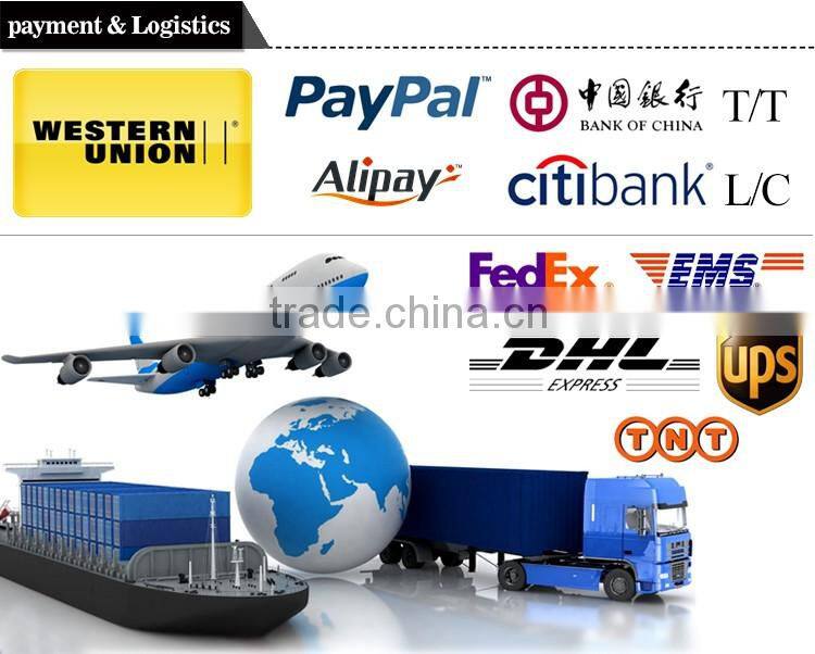 LED surface mounted epllise ceiling light