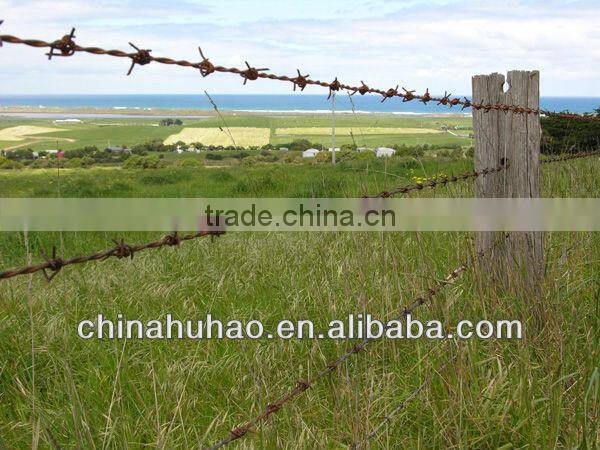 variety size wire barbed razor security fences gavanized