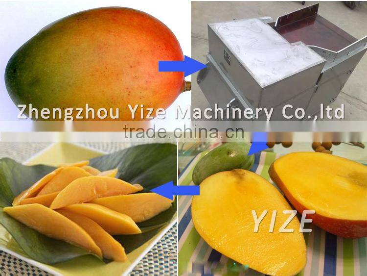 Mango fruit grading machine / mango juice machine / mango pulp machine price