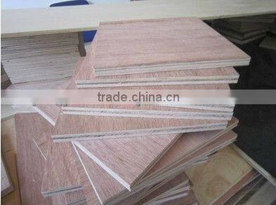 Hot sell plywood in container