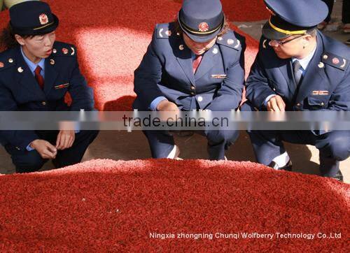 Ningxia Small Red Fruit /goji Berry in bulk