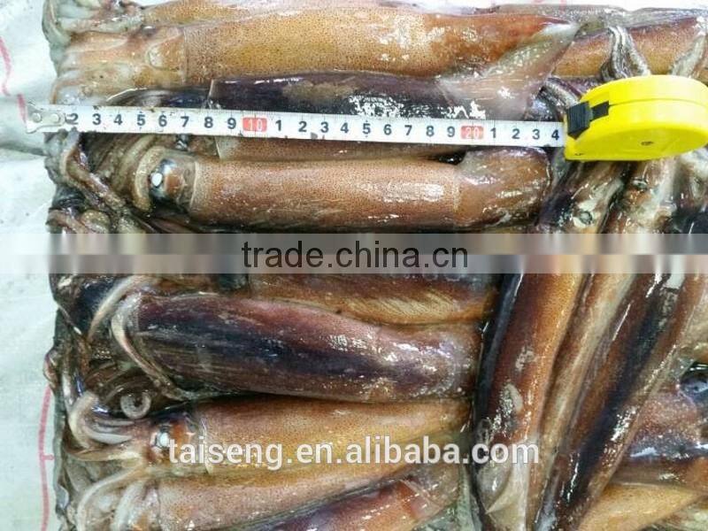 Illex argentinus squid jigs 300-400g bait fish for Tuna