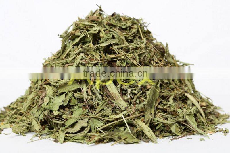 Stevia Rebaudiana / Stevia leaf / Stevia Leaf T Cut