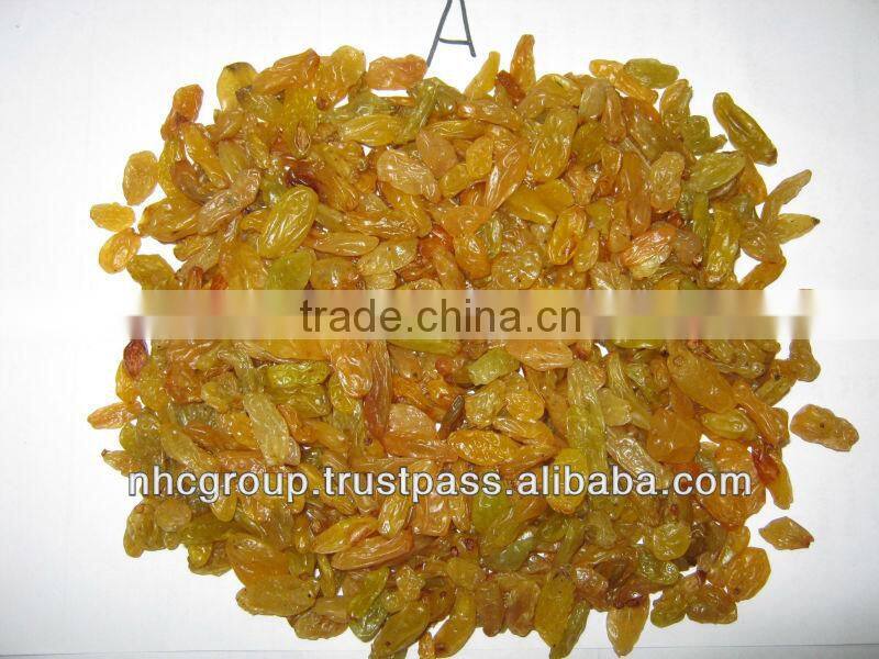 GOLDEN RAISIN (NEW CROP)