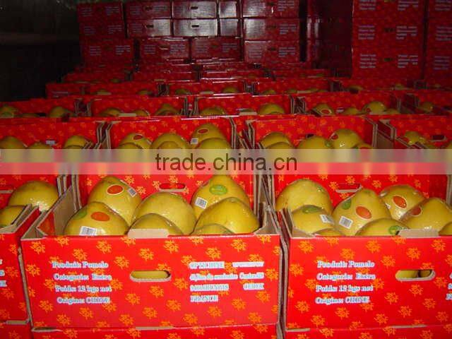 Chinese Fresh Pomelo Fujian Pomelo Sweet Pomelo