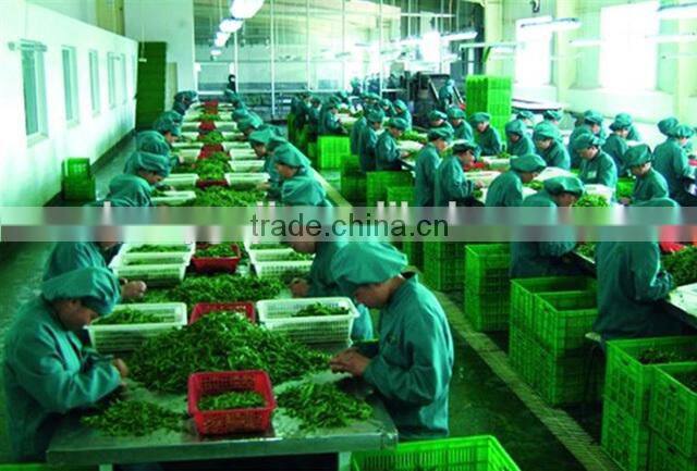 Natural Goji Green Tea,Goji leaf tea Chinese Herbal tea