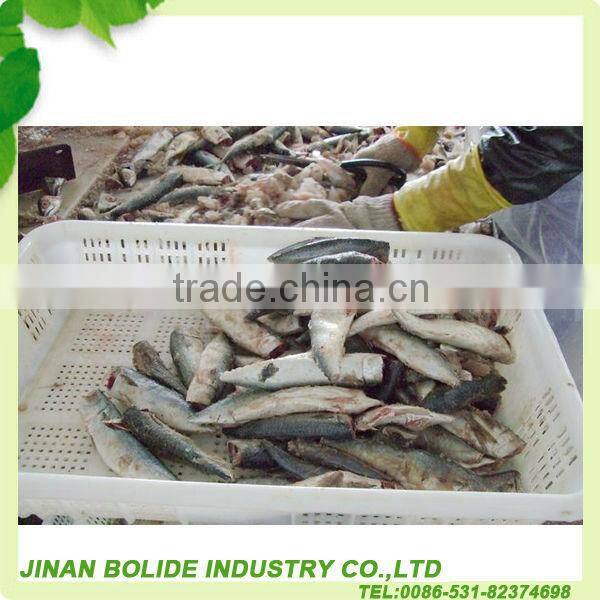 jack mackerel canned