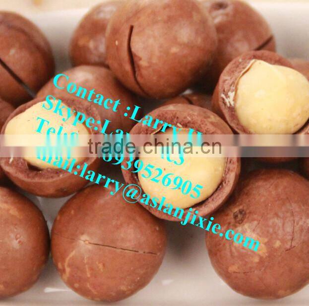 macadamia nut opening machine/macadamia nut tapping machine