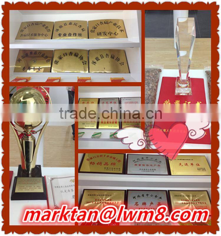 High quality sweet apricot kernels made in china.