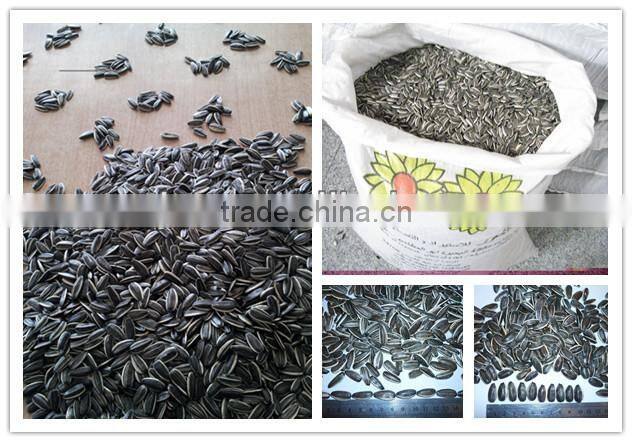 Hot sell chinese sunflower seeds 5009,5135, 20/64,22/64,24/64