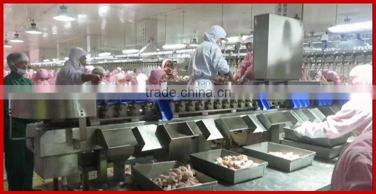 Automatic Chicken Feet Weight Grading Machine