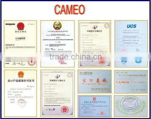 CP188FS Camshaft Output 456CC 10.2HP/10.6HP Small Diesel Outboard Motor