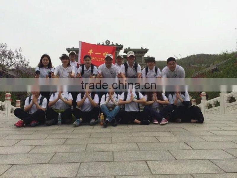 All position tire radial 11R24.5 truck tires