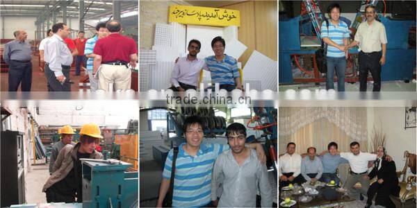 Manufacturer wire straight and cutting machine for sale