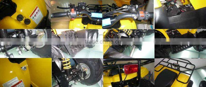 electric atv(SX-E1000 ATV-C)