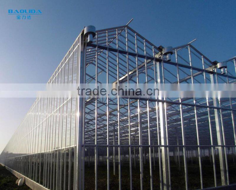 Factory Glass Greenhouse Farming Equipment