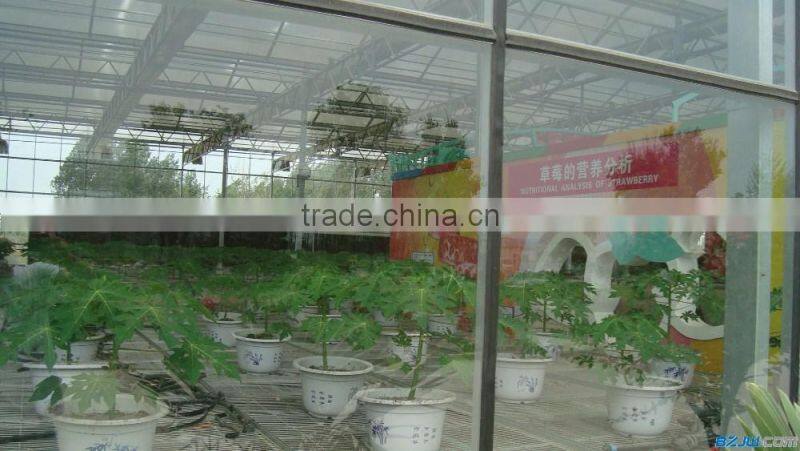 Modern steel structure stabilize greenhouse