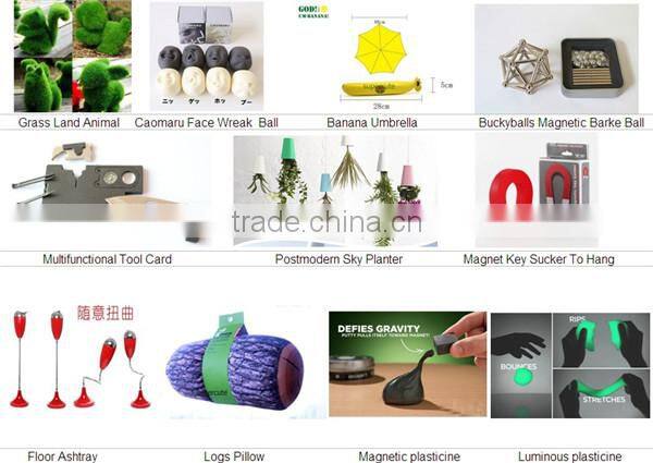 CT-543 Popular waterproof LED bright flashlight world Star Map travel light world map