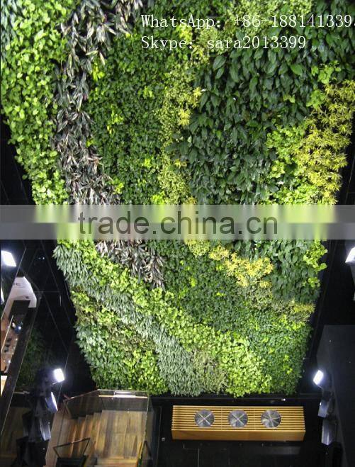 CHY060830 Home decorative wall/hanging plant wall/wall grass mat