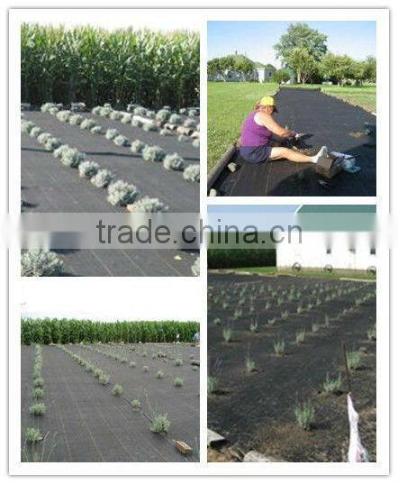 3.0oz Woven Geotextiles for Weed Suppression