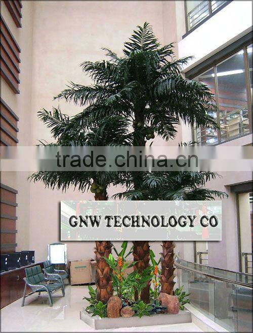 APM045 GNW Indoor Palm Trees 12ft High