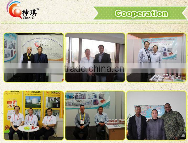 powerfull fermention Instant Dried Yeast