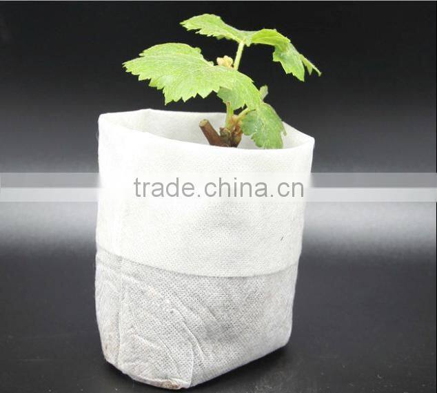 PP Non-woven Fabric,PP Spunbond Nonwoven,TNT Nonwoven Fabric