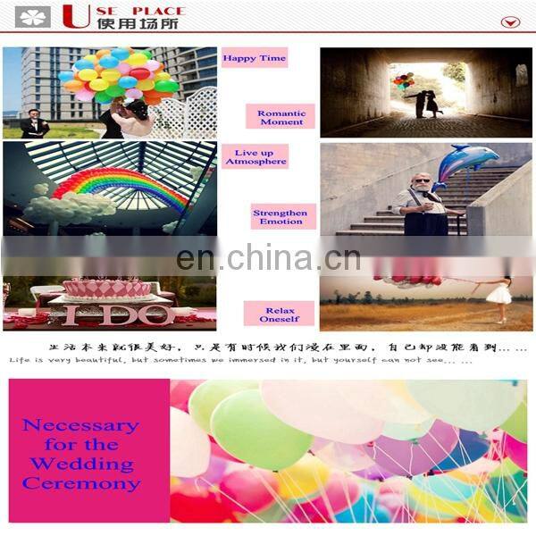 Factory Wholesale 30LB Small Disposable Balloon Helium Tank Ballon Kits Filled 99.99% Pure Gas Helium Cylinder