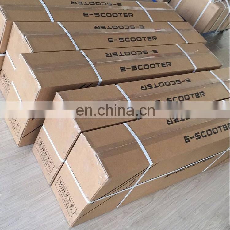 Brushless 8 Inch DC Motor With Different Tires and Brakes