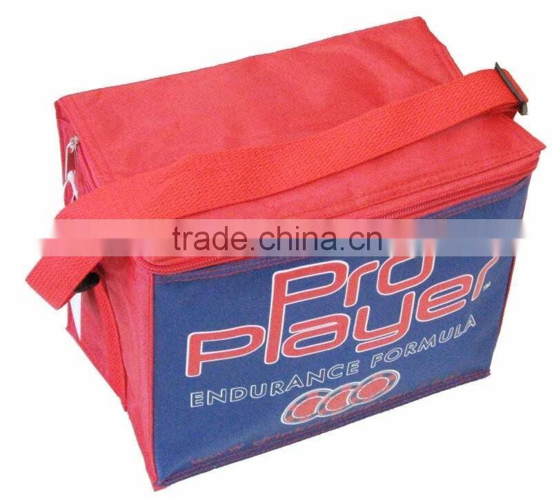 Low price trendy cooler bags