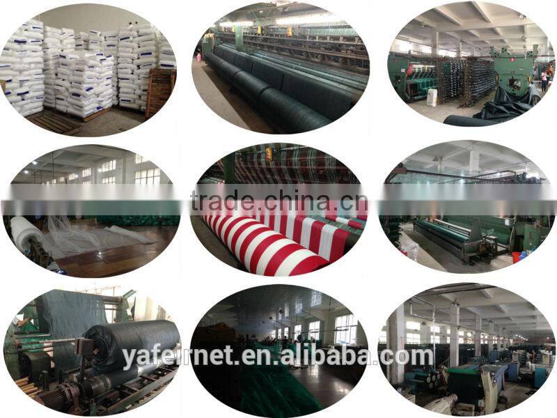 100% hdpe plastic 50gsm green safety net fall protection