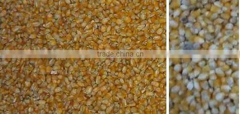 Corn color sorters