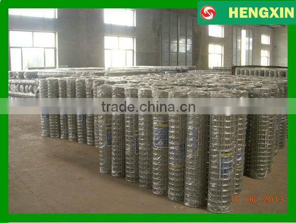 Heavy guage galvanized welded wire mesh