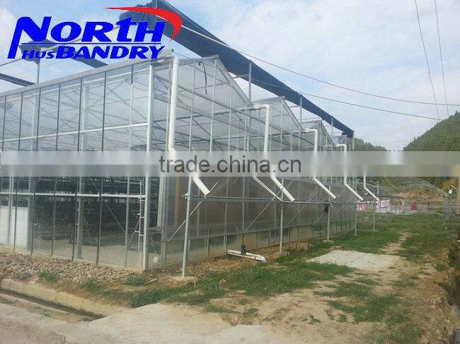 multi span poly film greenhouse from manufacturer