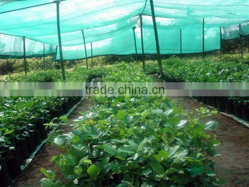 Dark Green , Black Sun Shade Netting ,Hdpe Anti UV Agriculture greenhouse sun shade Net