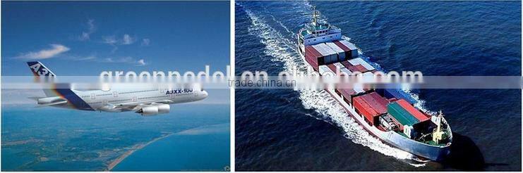 GP-29 Approval Adult electric scooter with carbon fiber, slightest electric scooter