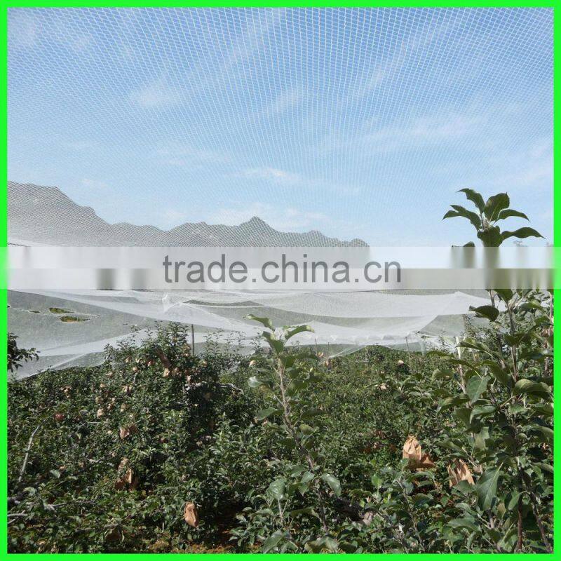 woven fabric PE guard hail mesh plastic fruit tree netting