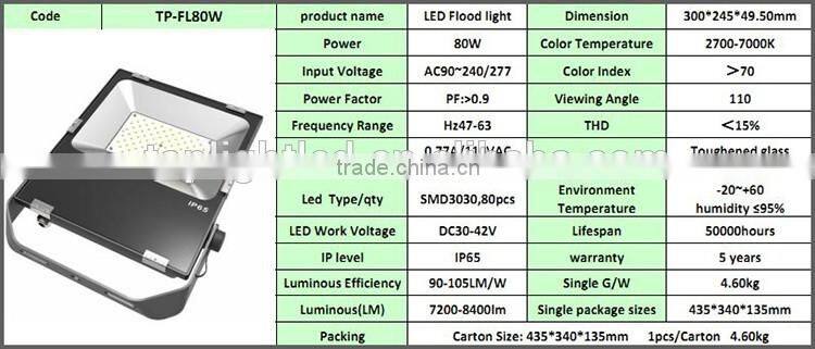 110lm/w PF>0.9 tennis court waterproof CE/MW driver 10w 20w 30w 50w 80W 100w IP65 led flood light