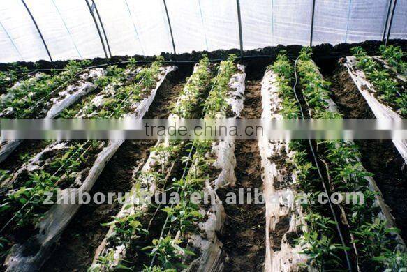 Greenhouse Equipment Irrigation System