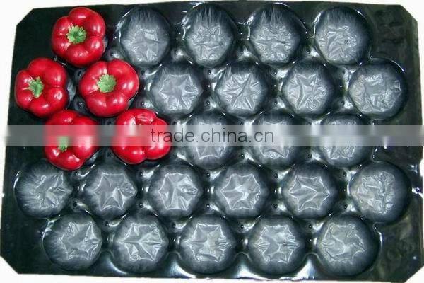 24/25/26/27 Holes Fruit Punnet