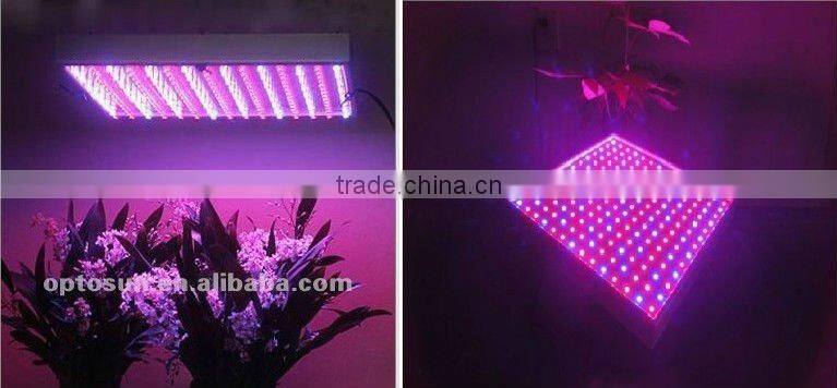 Latest!! shenzhen led grow light 28W, the best led grow lights for money tree or herbs growing and got the biggest yield