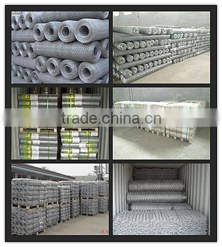 high quality hexagonal wire netting / chicken coop wire netting