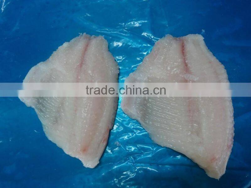 Frozen Tilapia Fillet