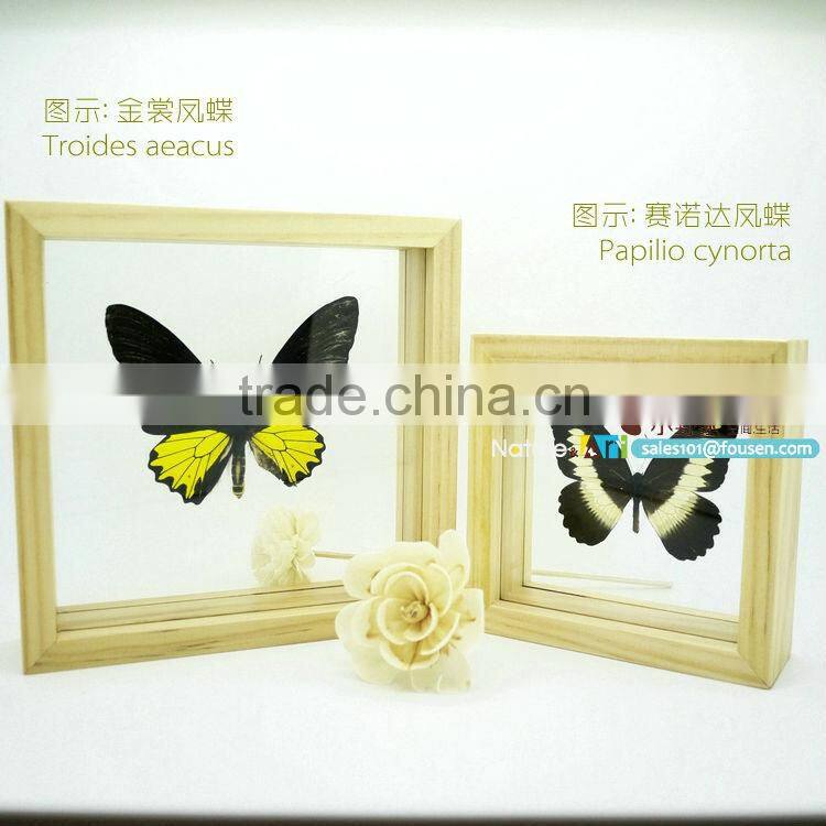 FOUSEN(011) Nature& Art natural butterfly gifts and crafts all products