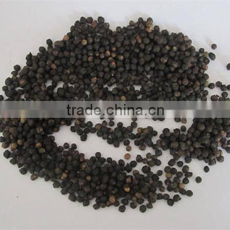 Malabar spinach seeds vegetable seeds for planting