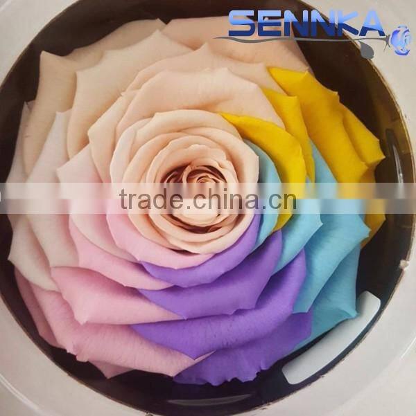 Happy Valentine Glass Dome Preserved Rose Wholesale For Gift