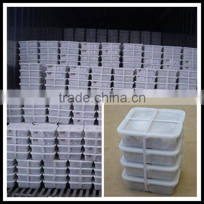 Frozen Seasoned Squid