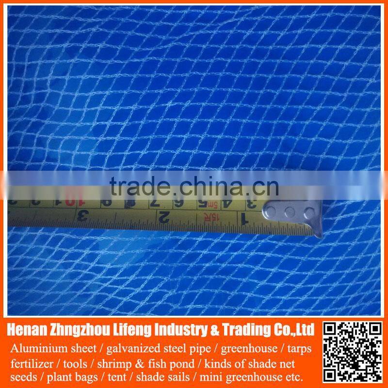 Garden Bird Trap Netting , Anti Bird Net for Agriculture