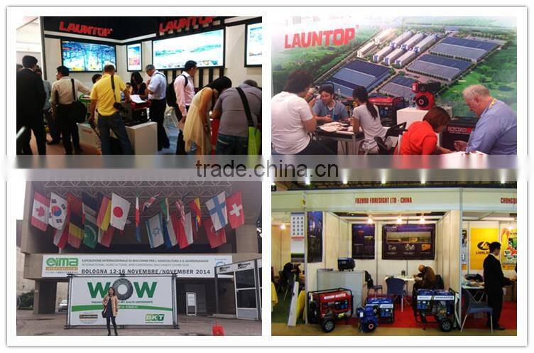 13HP LT390 mini 300cc 4 stroke engine